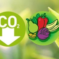 Vegetalización del buffet (2): objetivo descarbonización